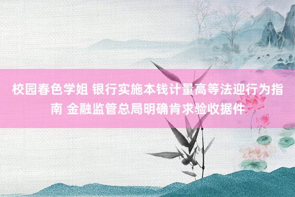 校园春色学姐 银行实施本钱计量高等法迎行为指南 金融监管总局明确肯求验收据件