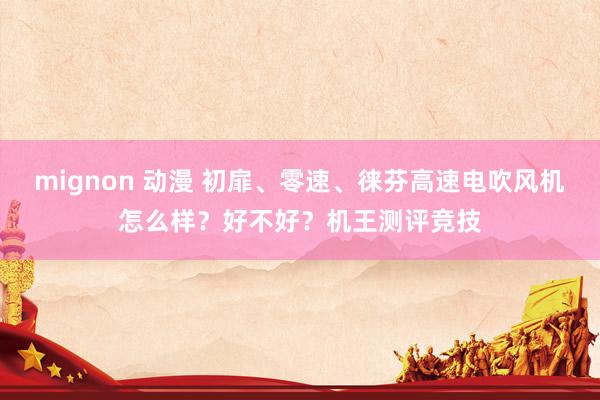 mignon 动漫 初扉、零速、徕芬高速电吹风机怎么样？好不好？机王测评竞技