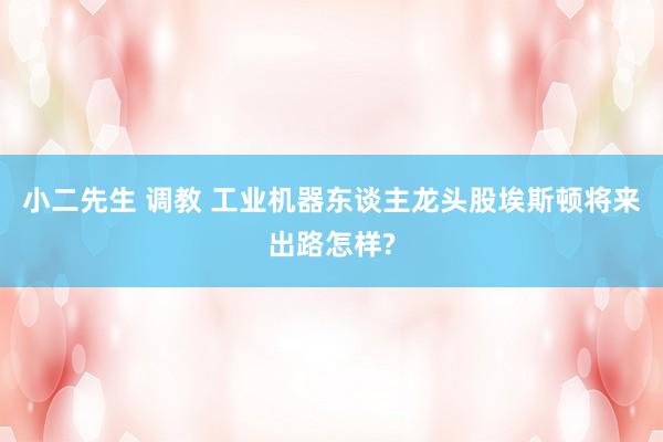 小二先生 调教 工业机器东谈主龙头股埃斯顿将来出路怎样?
