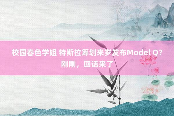 校园春色学姐 特斯拉筹划来岁发布Model Q？刚刚，回话来了