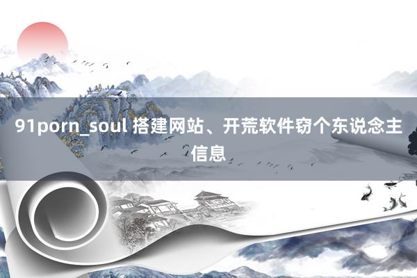 91porn_soul 搭建网站、开荒软件窃个东说念主信息