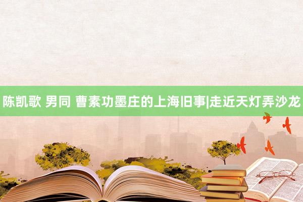 陈凯歌 男同 曹素功墨庄的上海旧事|走近天灯弄沙龙