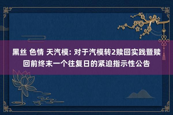 黑丝 色情 天汽模: 对于汽模转2赎回实践暨赎回前终末一个往复日的紧迫指示性公告
