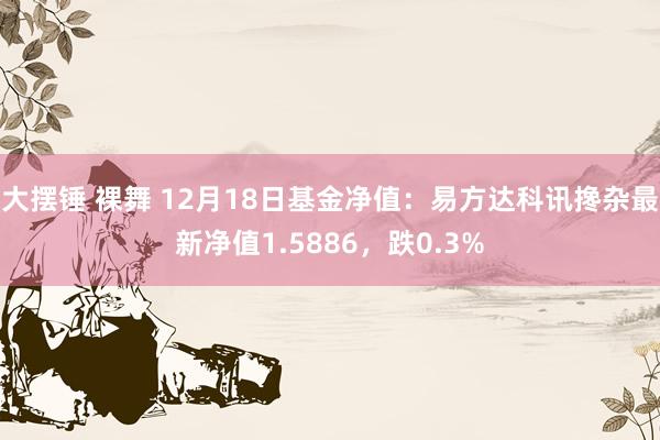 大摆锤 裸舞 12月18日基金净值：易方达科讯搀杂最新净值1.5886，跌0.3%