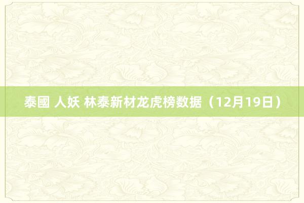 泰國 人妖 林泰新材龙虎榜数据（12月19日）
