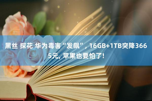 黑丝 探花 华为毒害“发飙”， 16GB+1TB突降3665元， 苹果也要怕了!