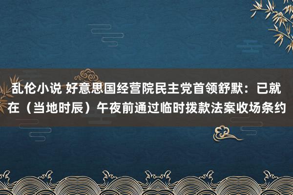 乱伦小说 好意思国经营院民主党首领舒默：已就在（当地时辰）午夜前通过临时拨款法案收场条约