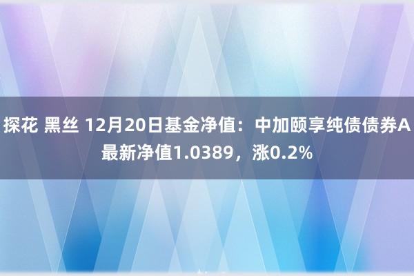探花 黑丝 12月20日基金净值：中加颐享纯债债券A最新净值1.0389，涨0.2%