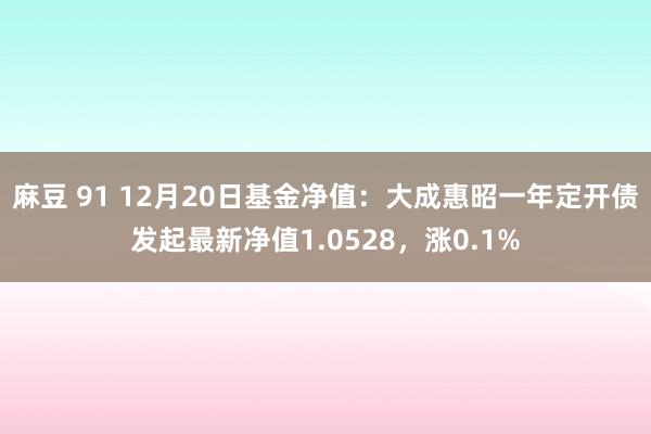 麻豆 91 12月20日基金净值：大成惠昭一年定开债发起最新净值1.0528，涨0.1%