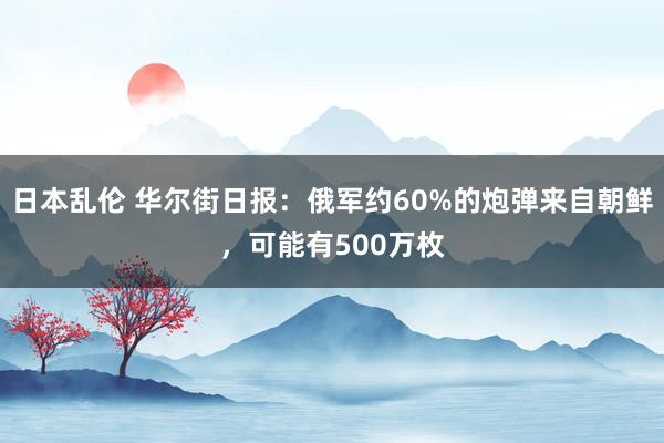 日本乱伦 华尔街日报：俄军约60%的炮弹来自朝鲜，可能有500万枚