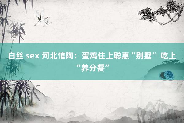 白丝 sex 河北馆陶：蛋鸡住上聪惠“别墅” 吃上“养分餐”