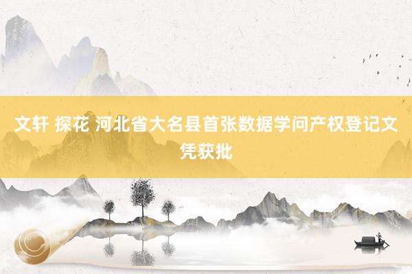 文轩 探花 河北省大名县首张数据学问产权登记文凭获批