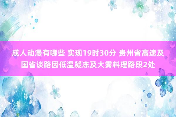 成人动漫有哪些 实现19时30分 贵州省高速及国省谈路因低温凝冻及大雾料理路段2处