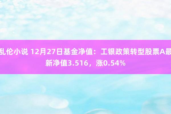 乱伦小说 12月27日基金净值：工银政策转型股票A最新净值3.516，涨0.54%