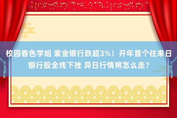校园春色学姐 紫金银行跌超3%！开年首个往来日银行股全线下挫 异日行情将怎么走？