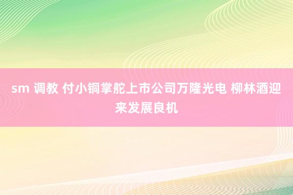 sm 调教 付小铜掌舵上市公司万隆光电 柳林酒迎来发展良机