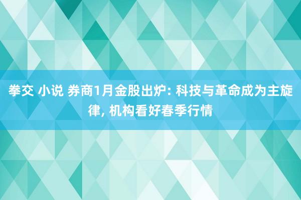 拳交 小说 券商1月金股出炉: 科技与革命成为主旋律， 机构看好春季行情