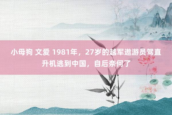 小母狗 文爱 1981年，27岁的越军遨游员驾直升机逃到中国，自后奈何了