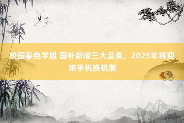 校园春色学姐 国补新增三大品类，2025年将迎来手机换机潮