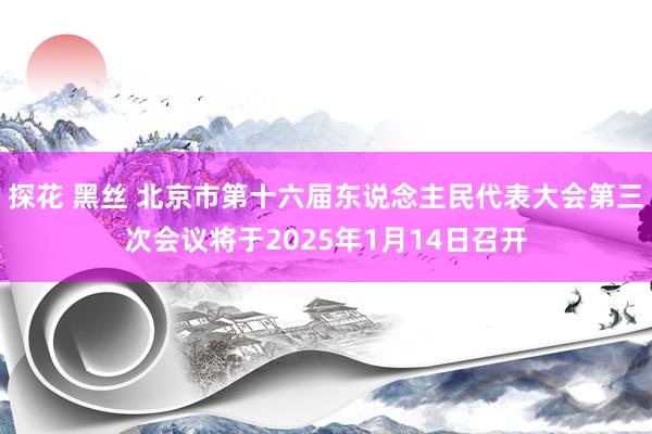 探花 黑丝 北京市第十六届东说念主民代表大会第三次会议将于2025年1月14日召开