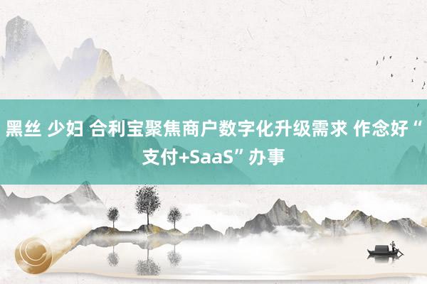 黑丝 少妇 合利宝聚焦商户数字化升级需求 作念好“支付+SaaS”办事
