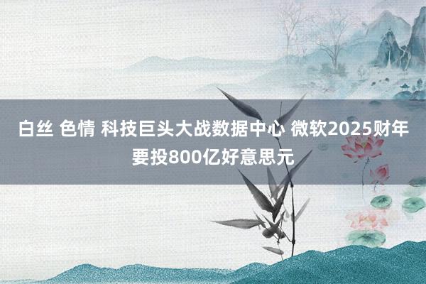 白丝 色情 科技巨头大战数据中心 微软2025财年要投800亿好意思元