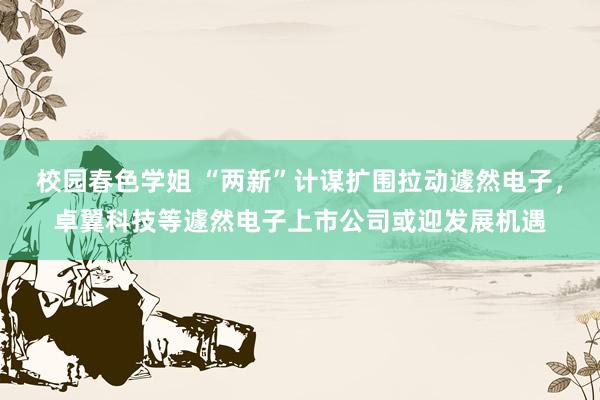 校园春色学姐 “两新”计谋扩围拉动遽然电子，卓翼科技等遽然电子上市公司或迎发展机遇