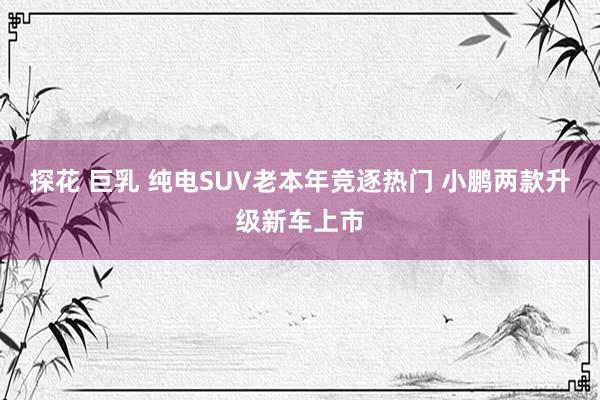 探花 巨乳 纯电SUV老本年竞逐热门 小鹏两款升级新车上市