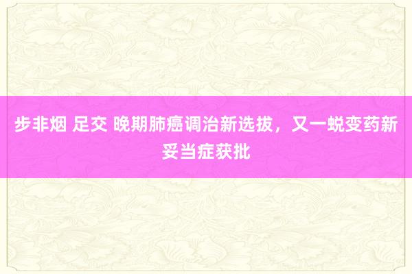 步非烟 足交 晚期肺癌调治新选拔，又一蜕变药新妥当症获批