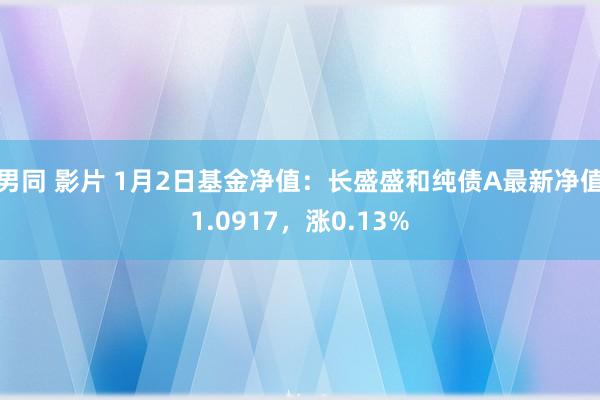 男同 影片 1月2日基金净值：长盛盛和纯债A最新净值1.0917，涨0.13%