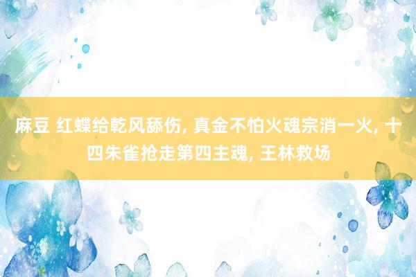 麻豆 红蝶给乾风舔伤， 真金不怕火魂宗消一火， 十四朱雀抢走第四主魂， 王林救场